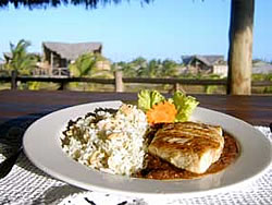 Jeri Sabor - Jericoacoara
