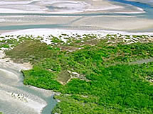 Delta do Parna&iacute;ba _ ce