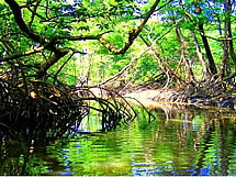 Delta do Parna&iacute;ba _ ce