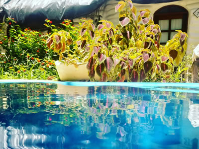 "Espaco Pousada Eco Jerimagia"