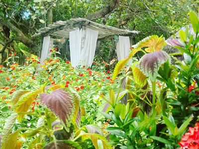 "Espaco Pousada Eco Jerimagia"