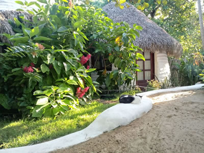 "Espaco Pousada Eco Jerimagia"