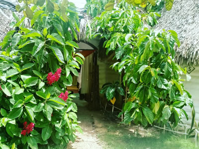 "Espaco Pousada Eco Jerimagia"