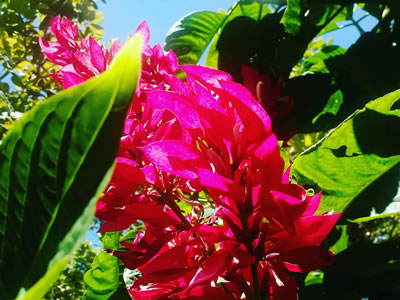 "Espaco Pousada Eco Jerimagia"