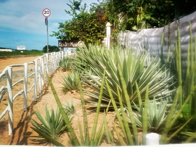 "Espaco Pousada Eco Jerimagia"