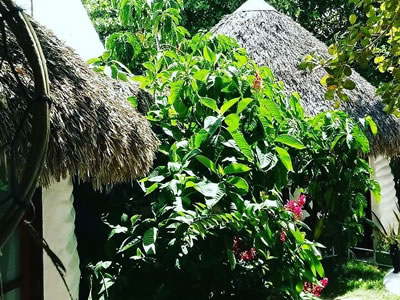 "Espaco Pousada Eco Jerimagia"