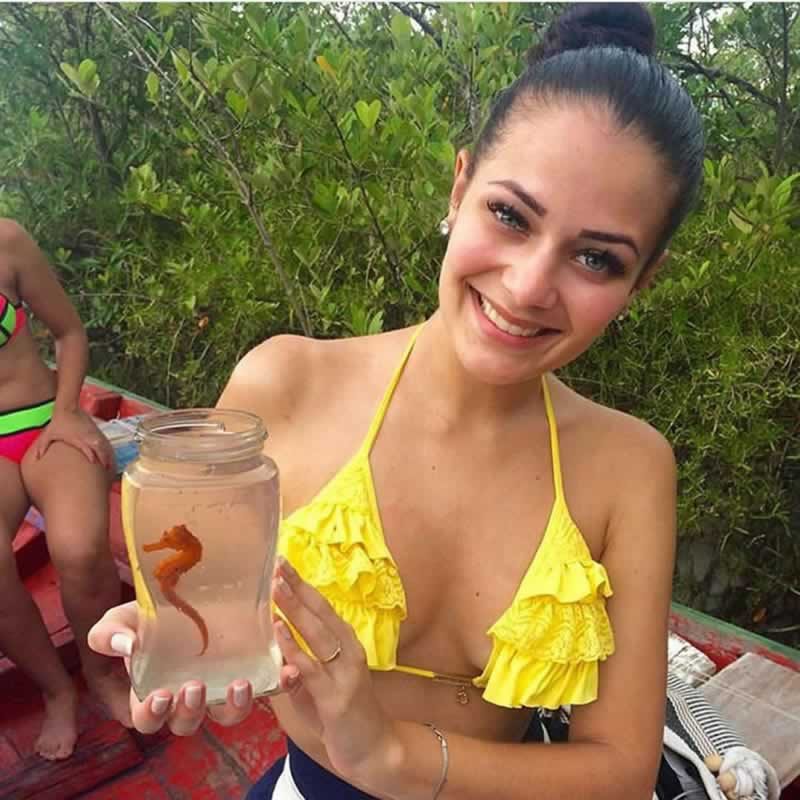 Passeio Ecológico do Cavalo Marinho - Jericoacoara