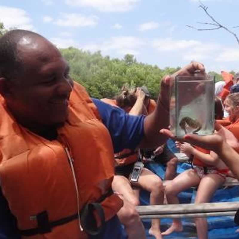 Passeio Ecológico do Cavalo Marinho - Jericoacoara