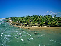 Praia da Ta&iacute;ba