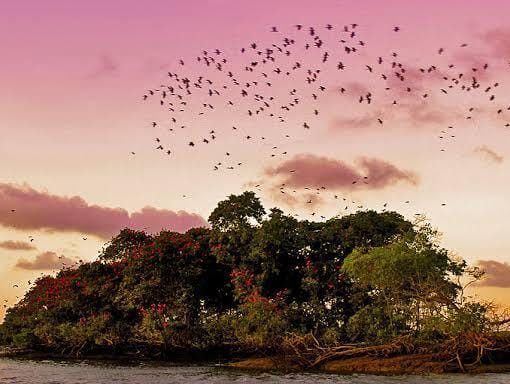 parnaiba-r3hkf65ij1dzghn8ya3ulxerl9ng4dwx02hxbhxp4w